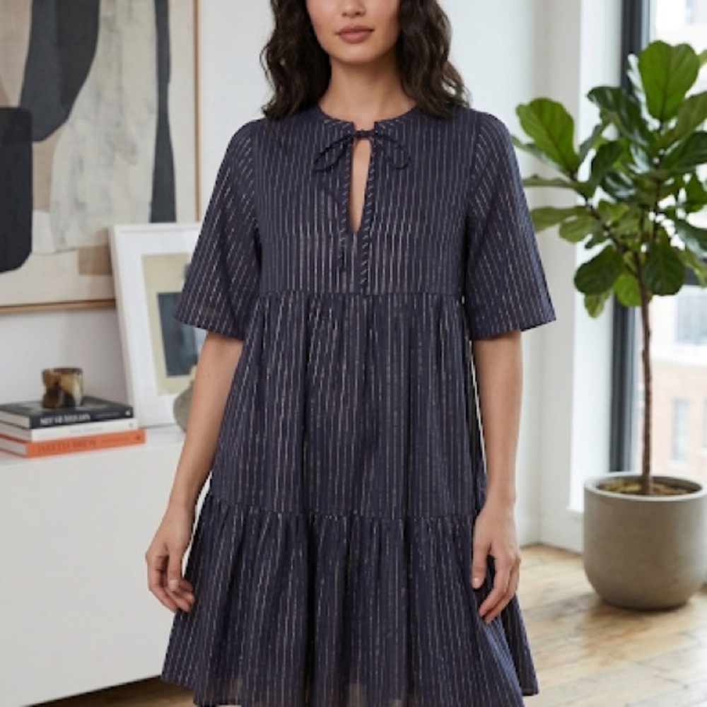 NWT Emerson Fry India Collection Navy Midi Dress with Metallic Pinstripes